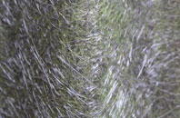 Piddinghoe fibreglass roof work